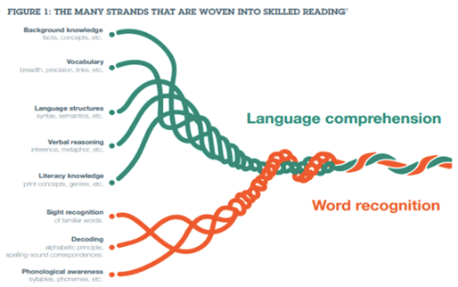 Language_comprehension.jpeg